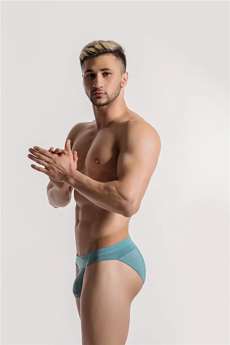 Men Underwear Sexy Briefs Solid  Soft Mens Underpants Male Panties Shorts short pants