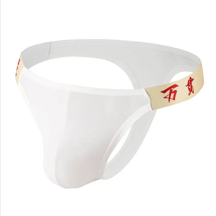 Fashion Solid Color Men Underwear Mesh Breathable Sexy Men's Briefs Panties Male Underpants Low Waist Gays Men Briefs