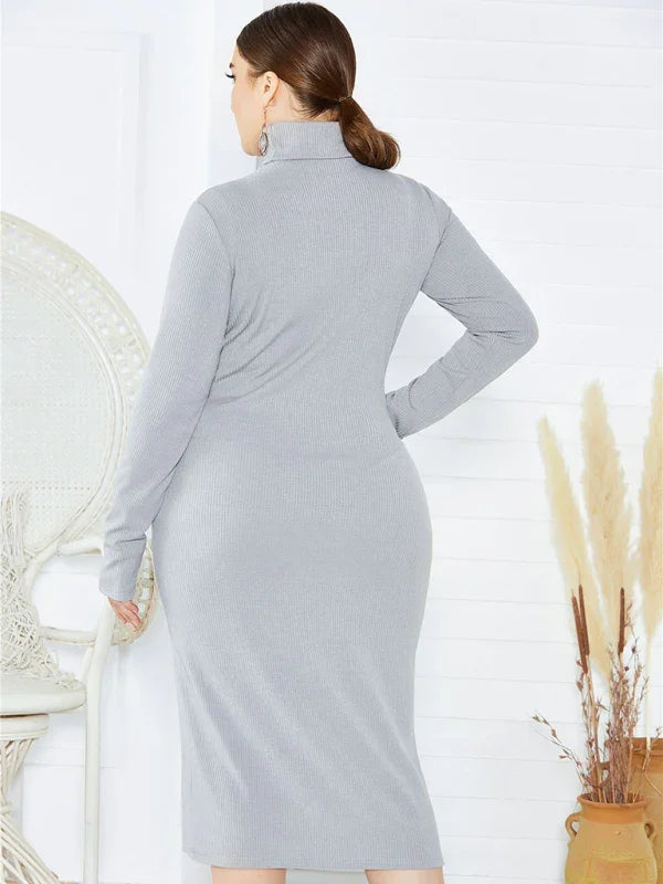 Cozy Turtleneck Knit Midi Dress
