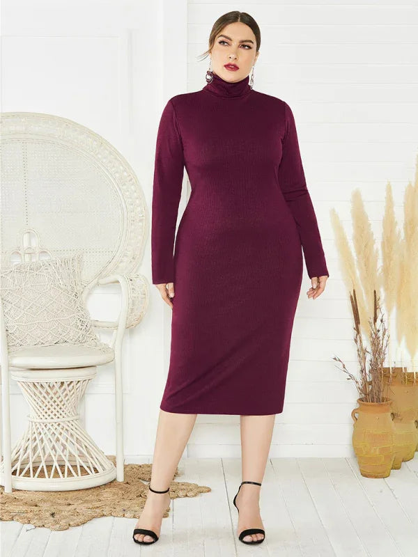 Cozy Turtleneck Knit Midi Dress